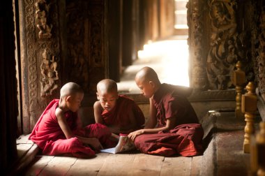 Üç genç rahipler Shwenandaw Manastırı Mandalay, Myanmar, okuma.