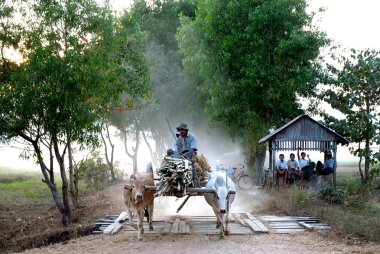 Öküz arabaları yolculuk eve her gün akşam, Myanmar.
