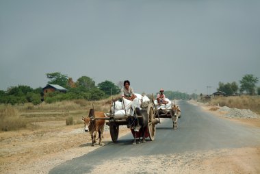 Sepeti öküzler tarafından çizilmiş.