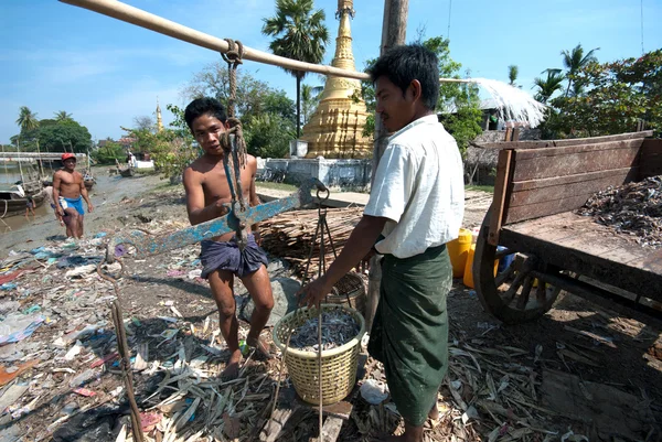 Travailleur travaille au bord de la rivière dans la ville de Kyaikto, Myanmar . — Photo