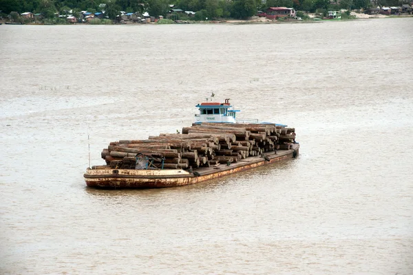 Teak logs in timber on boat in Ayeyarwady river,Myanmar.