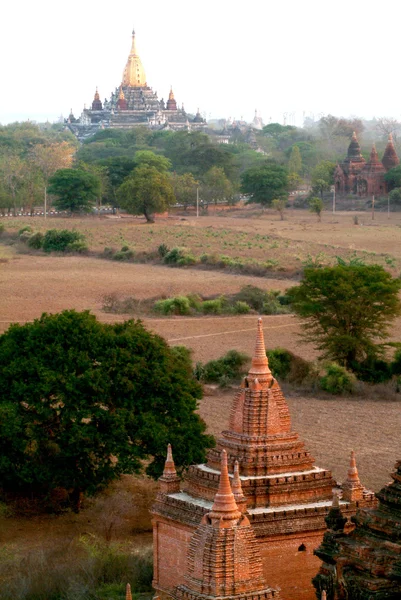 Pagodas antiguas en el campo de Pagadas, ciudad de Bagan, centro de Myanmar . —  Fotos de Stock