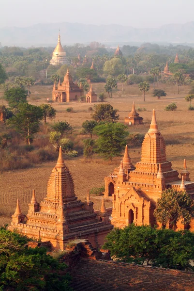 Pagodas antiguas en el campo de Pagadas, ciudad de Bagan, centro de Myanmar . — Foto de Stock