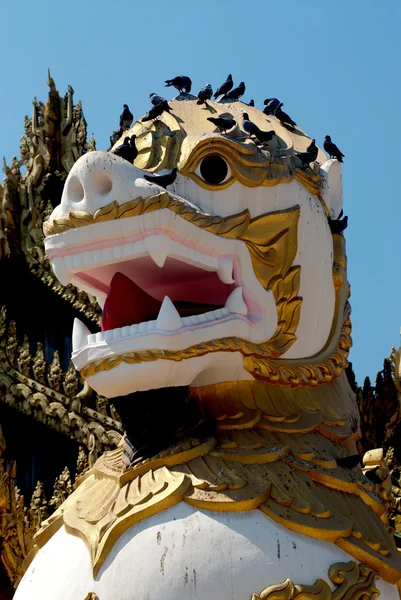 Tvář Singha je bílý Lev strážci chrámu, Myanmar. — Stock fotografie