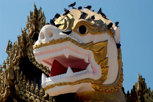 Tvář Singha je bílý Lev strážci chrámu, Myanmar. — Stock fotografie