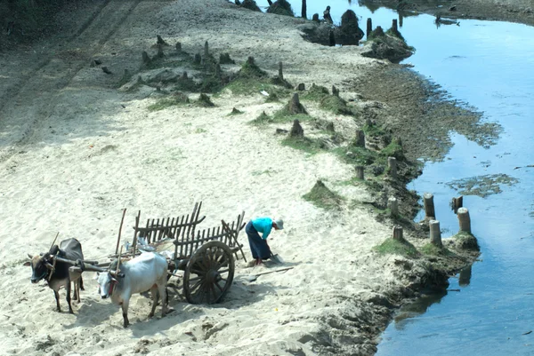 Sand cart carrying. — Stock Photo, Image