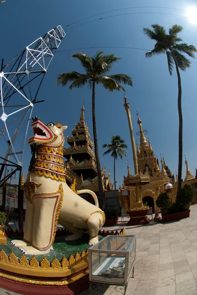 Більше Сінгха є білий лев опікунами в храмі, М'янма . — стокове фото