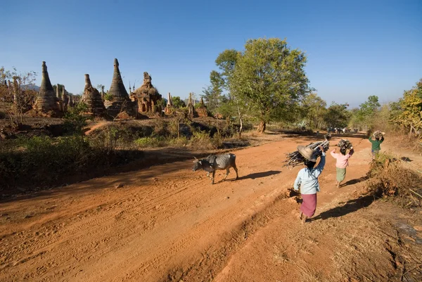 Myanmar kobieta przewożących drewno opałowe na głowie, — Zdjęcie stockowe