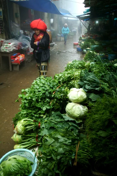 Red Dao femeie în vârstă de mers pe jos în piață, Vietnam . — Fotografie, imagine de stoc