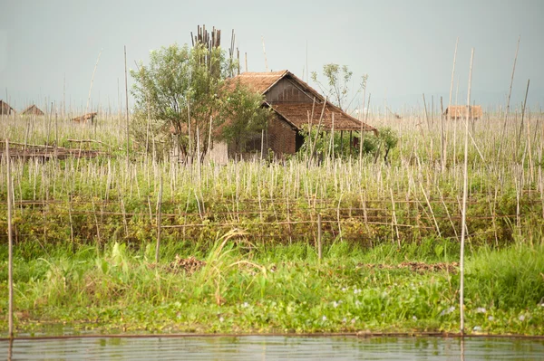 Schwimmende Landwirtschaft im inle lake, myanmar. — Stockfoto