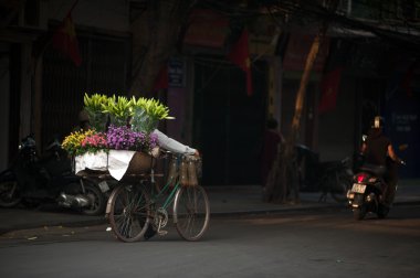 Çiçek sokak satıcısı Hanoi City, Vietnam.