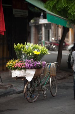 Çiçek sokak satıcısı Hanoi City, Vietnam.