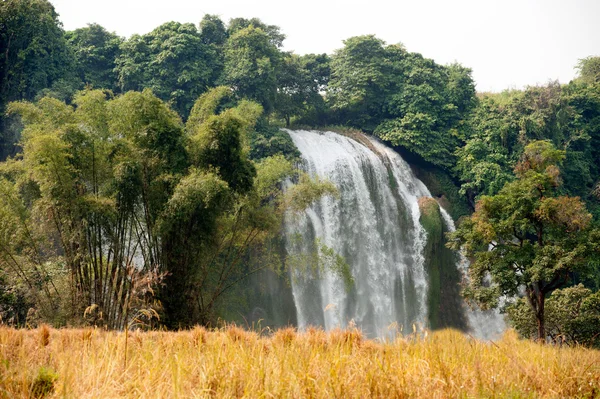 Straw in rice field front of Ban Gioc waterfall in Vietnam. — Stock Photo, Image