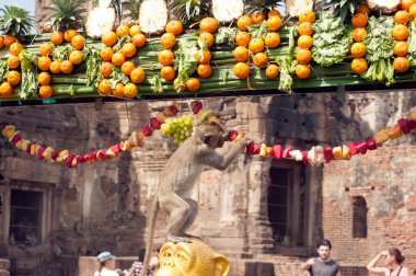 Tayland Maymun Partisi ( Tayland Maymun Büfesi ).