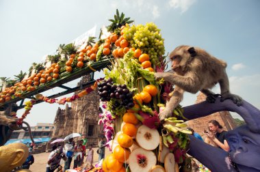 Tayland Maymun Partisi ( Tayland Maymun Büfesi ).