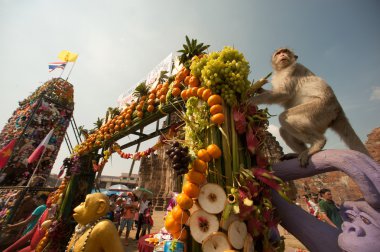 Tayland Maymun Partisi ( Tayland Maymun Büfesi ).