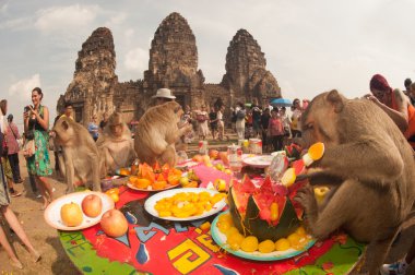 Tayland Monkey partisi (Tayland Maymun Büfesi ).