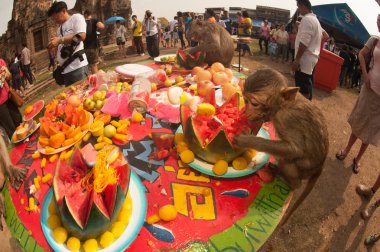 Tayland Monkey partisi (Tayland Maymun Büfesi ).