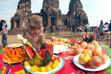 Tayland Monkey partisi (Tayland Maymun Büfesi ).