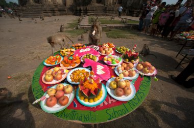 Tayland Maymun Partisi ( Tayland Maymun Büfesi ).