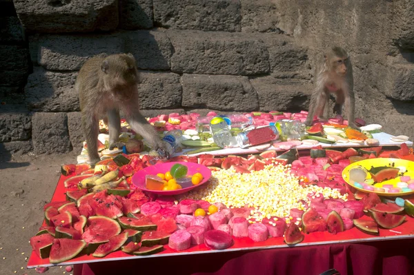 Fiesta del mono de Tailandia (Buffet del mono de Tailandia  ). — Foto de Stock