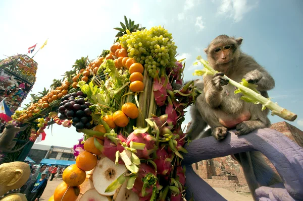 Thailandia Scimmia Party (Thailandia Scimmia Buffet  ). — Foto Stock