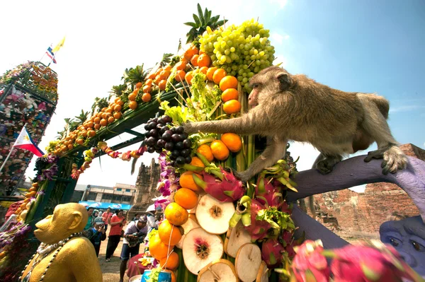 Tailândia Monkey Party (Tailândia Monkey Buffet  ). — Fotografia de Stock