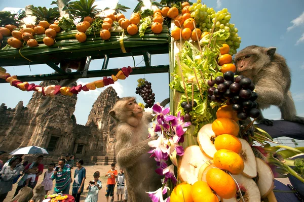 Thailand Monkey Party ( Thailand Monkey Buffet ). — Stock Photo, Image