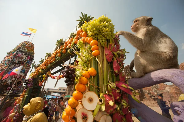 Tailândia Monkey Party (Tailândia Monkey Buffet  ). — Fotografia de Stock