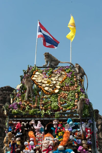 Thailand Monkey Party ( Thailand Monkey Buffet ). — Stock Photo, Image