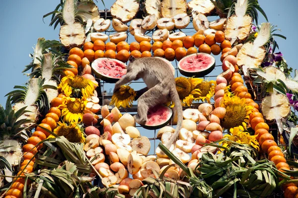 Fiesta del mono de Tailandia (Buffet del mono de Tailandia  ). — Foto de Stock