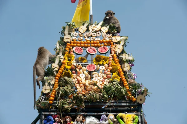 Thailand Monkey Party (Таиланд Monkey Buffet)  ). — стоковое фото
