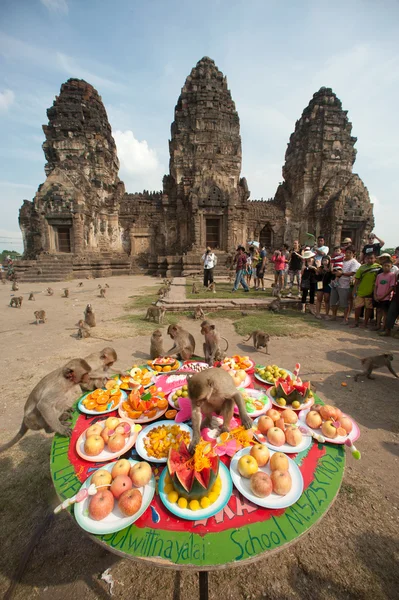 Thailand Monkey Party ( Thailand Monkey Buffet ). — Stock Photo, Image