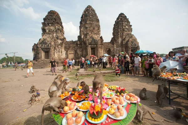 Thaiföld Monkey Party (Thaiföld majom büfé ). — Stock Fotó