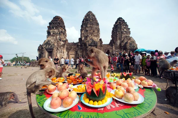 Tayland Maymun Partisi ( Tayland Maymun Büfesi ). — Stok fotoğraf