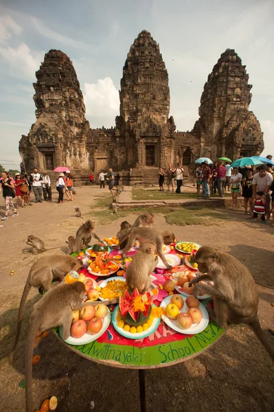 Thailand Monkey Party ( Thailand Monkey Buffet ). — Stock Photo, Image