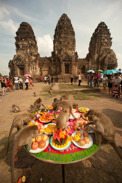 Tayland Maymun Partisi ( Tayland Maymun Büfesi ). — Stok fotoğraf