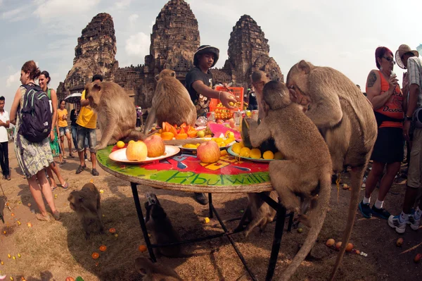 Thailand Monkey party (Thailand Monkey Buffet ). — Stock Photo, Image