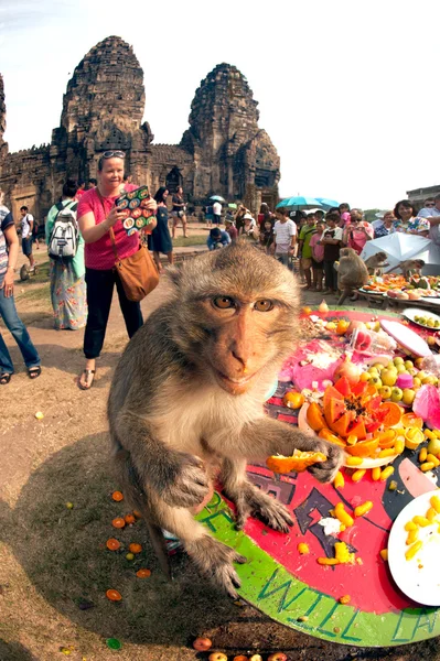 Fiesta del mono de Tailandia (Buffet del mono de Tailandia  ). — Foto de Stock