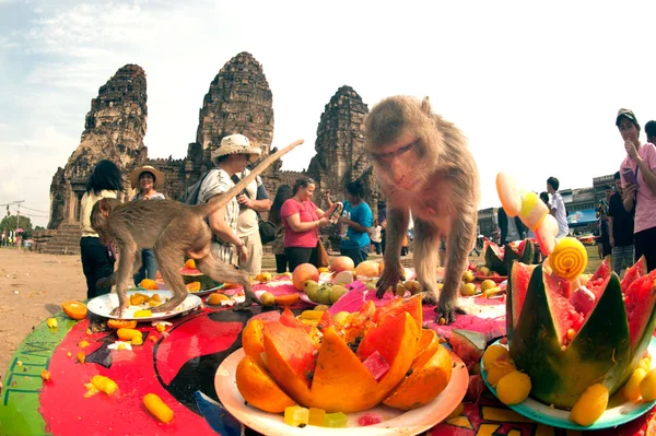 Fiesta del mono de Tailandia (Buffet del mono de Tailandia  ). — Foto de Stock