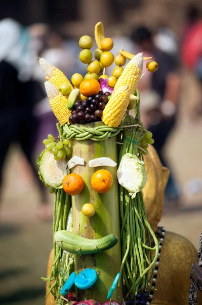 Futter für Affen. — Stockfoto