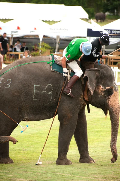 Elephant polo spel racing. — Stockfoto