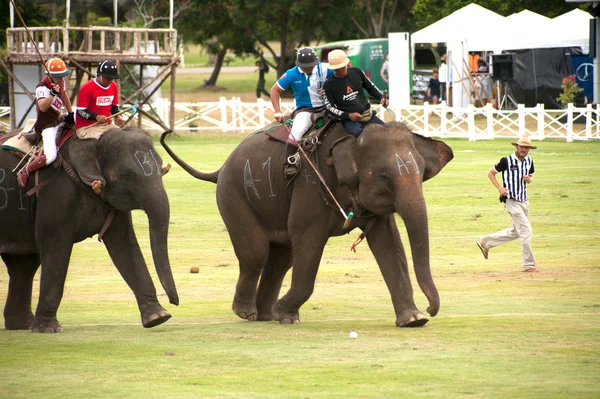 Elephant polo spel racing. — Stockfoto