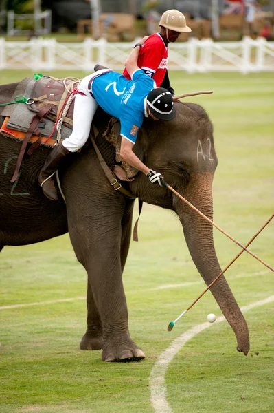 Olifant polo spelen racing. — Stockfoto