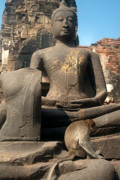 Antiker Buddha im Freien im phra prang sam yod Tempel, Thailand. — Stockfoto