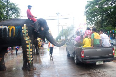 Genç su oynarken fil.