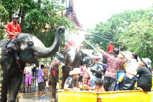 Jovem elefante jogando água . — Fotografia de Stock