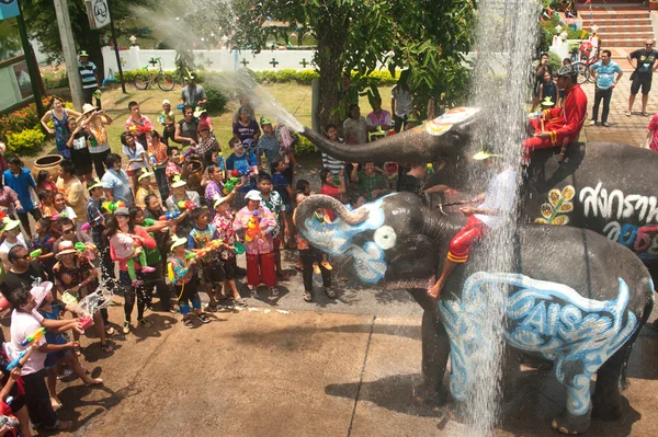 Jovem elefante jogando água . — Fotografia de Stock