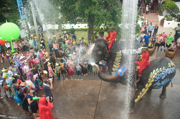 Genç su oynarken fil.