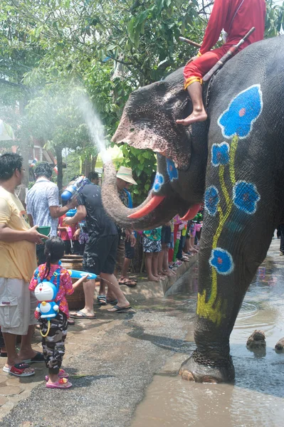 Jovem elefante jogando água . — Fotografia de Stock